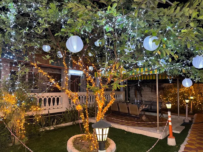 Garden seating and decorative lights